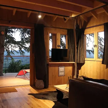 Bed & Breakfast Domaine Des Grands Cedres - Maison D'hotes