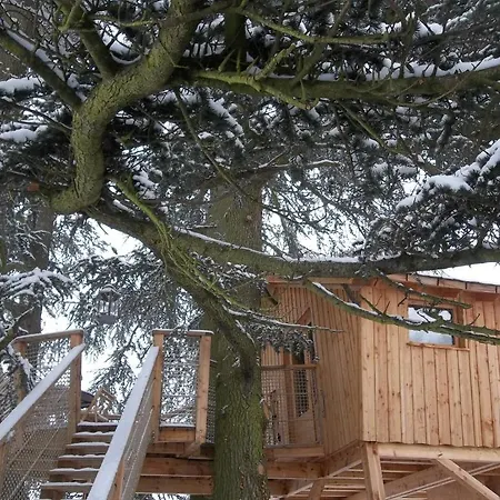 Domaine Des Grands Cedres Bed & Breakfast