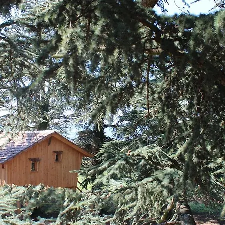 Domaine Des Grands Cedres - Maison D'hotes Cordelle
