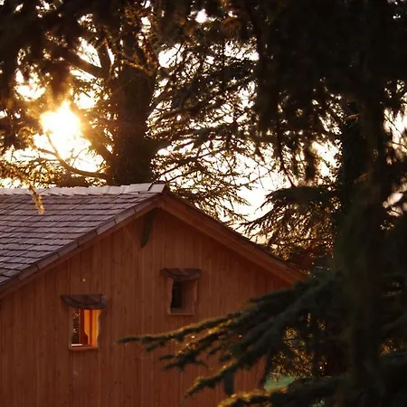 Bed & Breakfast Domaine Des Grands Cedres - Maison D'hotes 3*