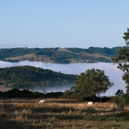 Domaine Des Grands Cedres - Maison D'hotes