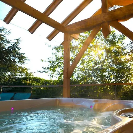 Domaine Des Grands Cedres Bed & Breakfast 4*