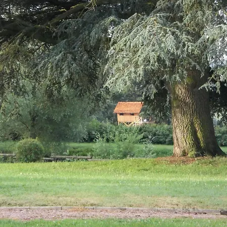 Domaine Des Grands Cedres Bed & Breakfast Cordelle