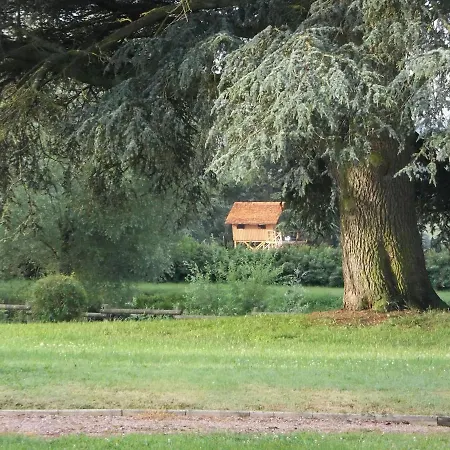 Domaine Des Grands Cedres - Maison D'hotes Bed & Breakfast Cordelle