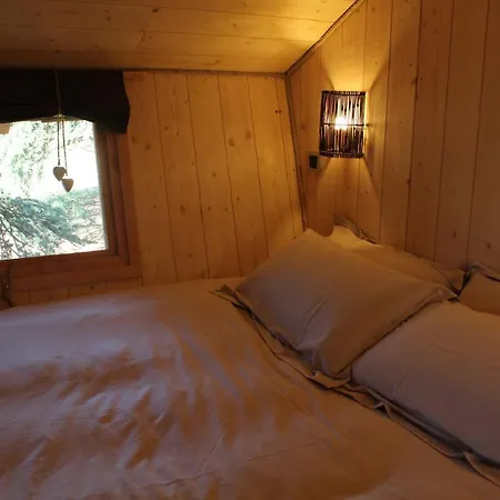 Bed & Breakfast Domaine Des Grands Cedres - Maison D'hotes Cordelle