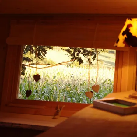 Bed & Breakfast Domaine Des Grands Cedres - Maison D'hotes