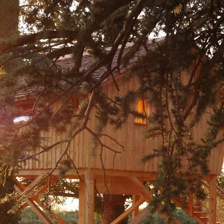 Domaine Des Grands Cedres - Maison D'hotes 3* Cordelle