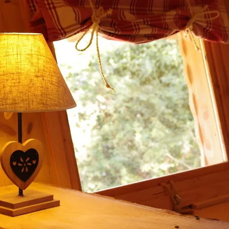 Domaine Des Grands Cedres Bed & Breakfast